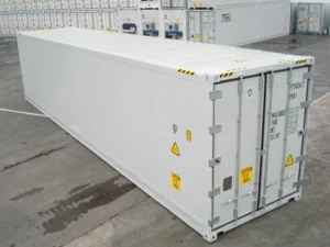 20 ft refrigerated containers