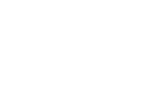 bv ver (1)
