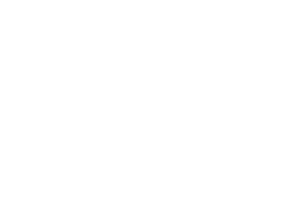 dnv ver