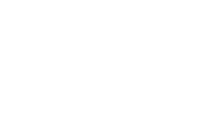 sgs iso badge